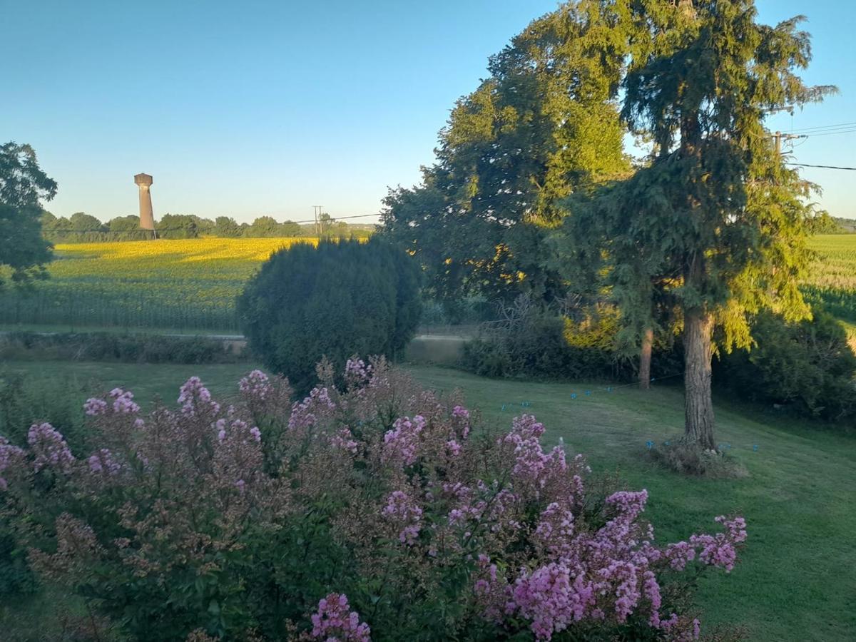 Chateau Ardilleux Eksteriør billede